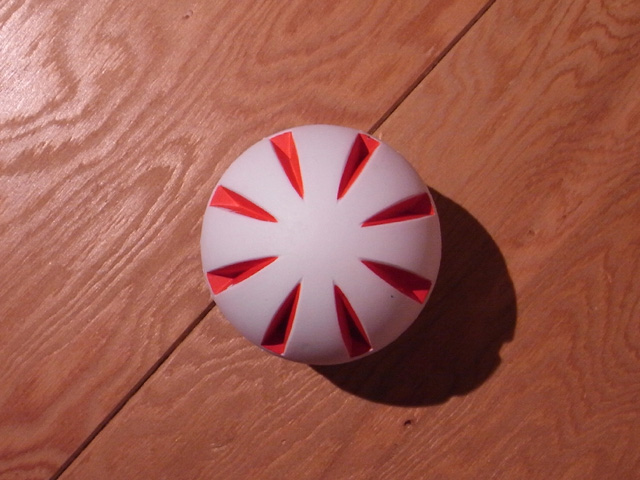 2009081102.jpg