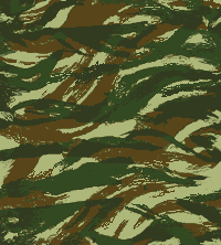 2010.5.10.05.gif