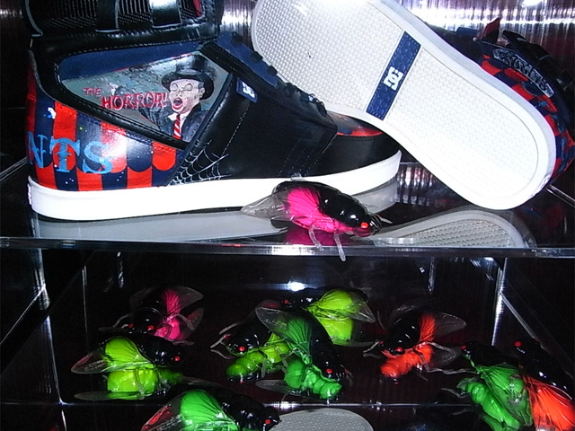 2010030605.jpg